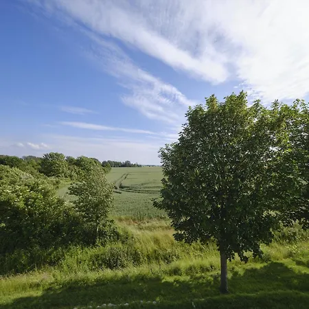 Reetland Am - Luxusplus Reetdachvilla Mit 4 Schlafzimmern, Aussensauna, Loungebereich Und Kamin H05 *