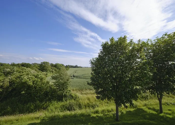 Reetland Am - Luxusplus Reetdachvilla Mit 4 Schlafzimmern, Aussensauna, Loungebereich Und Kamin H05 *